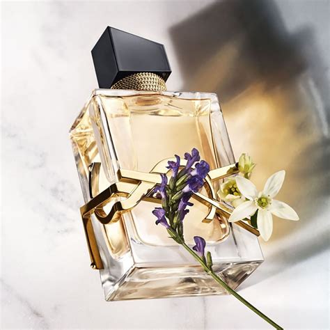 yves saint laurent perfume niche